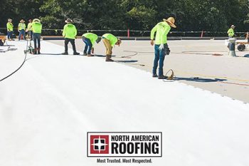 Tpo Roof Repair Tampa Fl