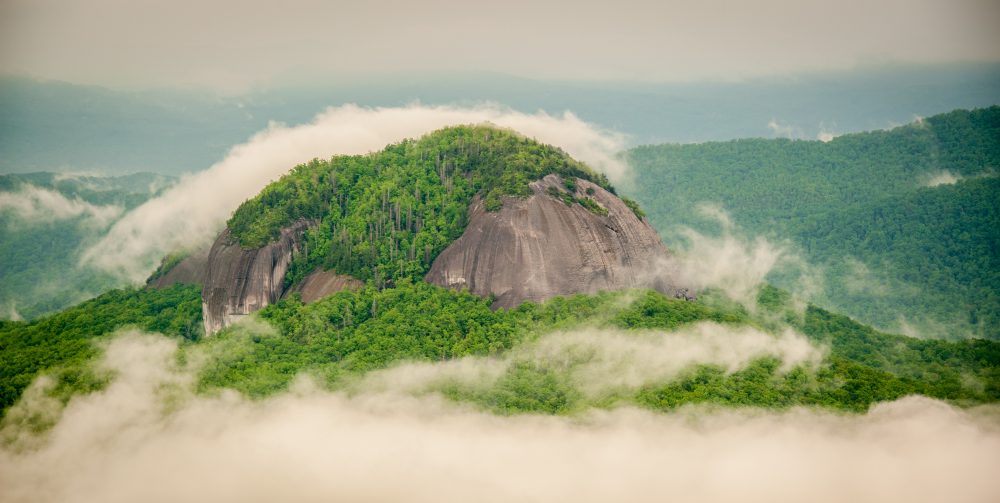 Pisgah National Forest in Asheville, NC