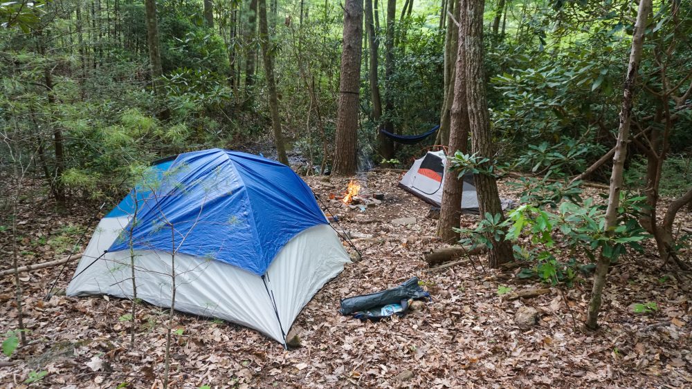 camps in Asheville, NC